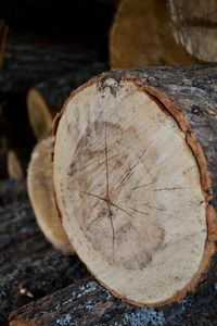 Close-up of logs on wood