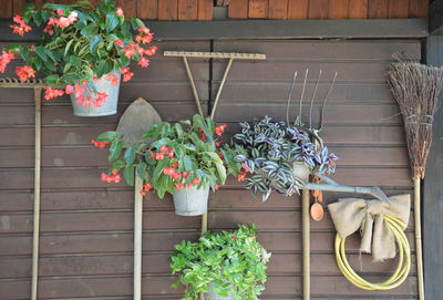 Potted plants and garden equipment by wall in yard