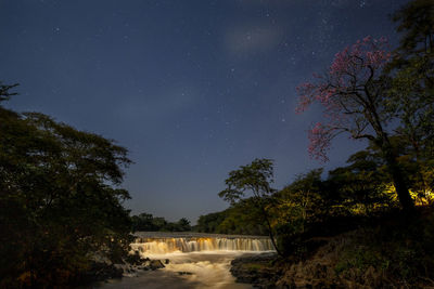 Scenic view of tree against sky at night