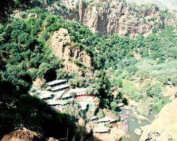 High angle view of trees and buildings