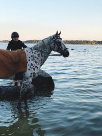 Woman with horse standing in lake