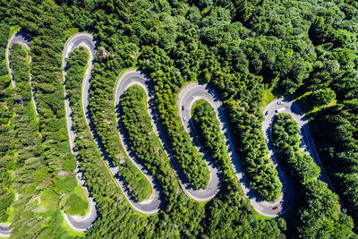 Aerial top view of a winding road in green forest by drone
