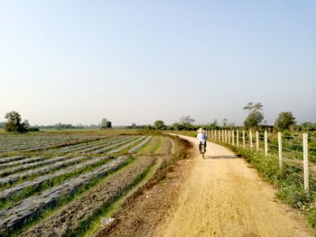 Rear view of person riding bicycle on dirt road by field