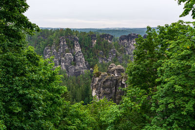 View of trees and plants against sky