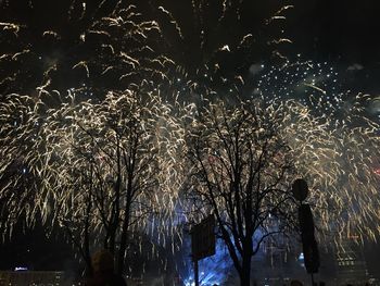 Firework display at night