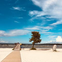 Scenic view of beach against blue sky