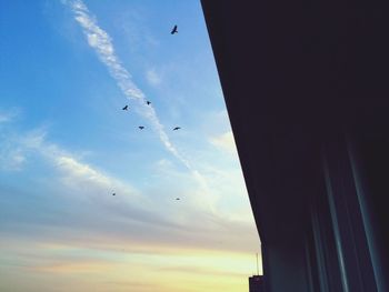 Low angle view of bird flying in sky
