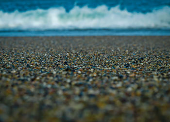 Scenic view of beach