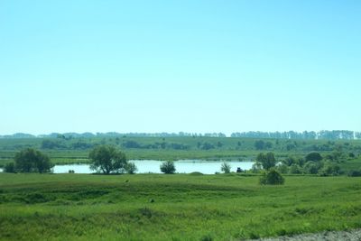 Scenic view of field against clear sky