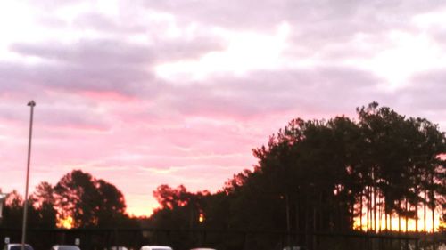 Trees against cloudy sky at sunset