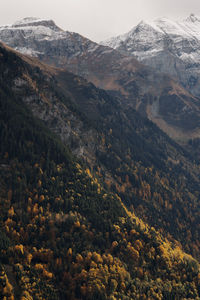 Scenic view of swiss alps 