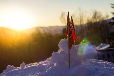 Close-up of snow on field against sky during sunset