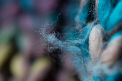 Close-up of wool