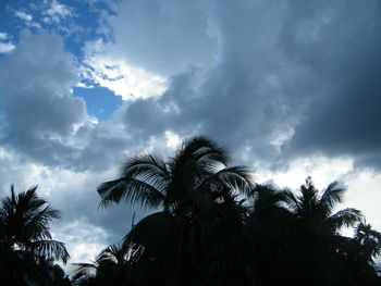 Low angle view of silhouette palm trees against sky