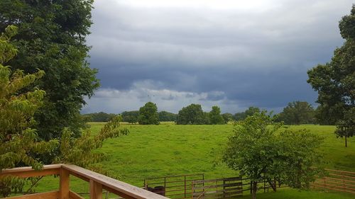 Scenic view of field against cloudy sky