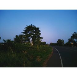 Road by trees against clear sky