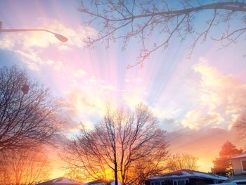 Low angle view of bare trees against sky during sunset