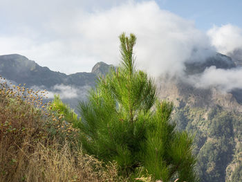 In the mountains of madeira