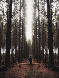 Man amidst trees in forest