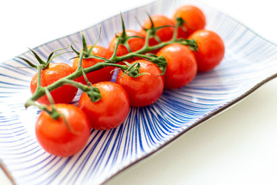 High angle view of tomatoes on plate