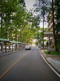 Road passing through trees