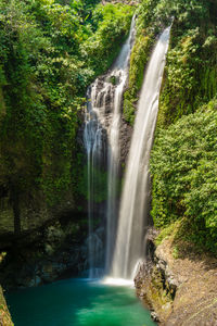 Scenic view of waterfall in forest