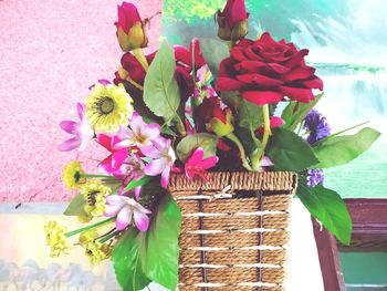 Close-up of pink flowering plant in basket