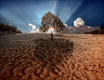 Scenic view of desert against sky