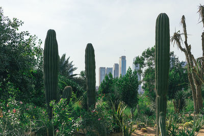 Panoramic view of trees and buildings against sky