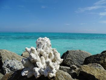 Scenic view of rocks on beach against sky