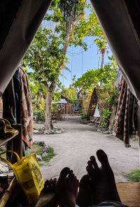 Low section of people against trees