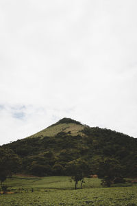 Scenic view of field by mountain against sky