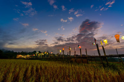 Scenic view of agricultural field against sky at sunset
