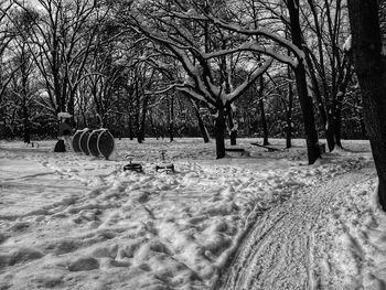 Bare trees on snow field during winter