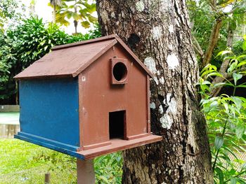 Close-up of birdhouse on tree trunk against building