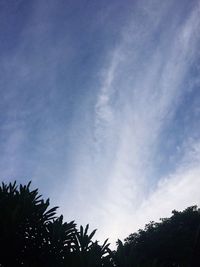 Low angle view of trees against sky