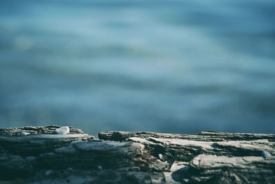 Close-up of beach log in front of water