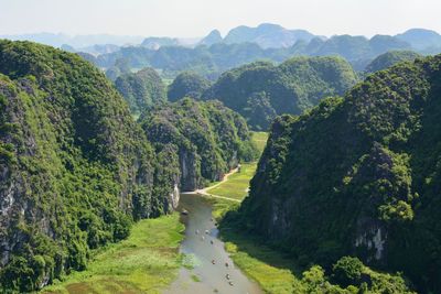 Panoramic view of road amidst trees against sky