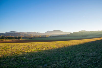 Scenic view of field against clear sky