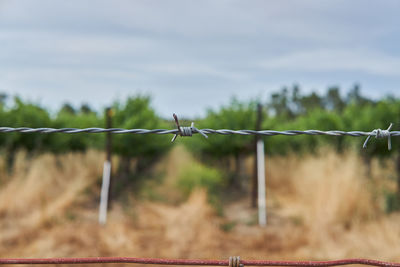 Barbed wire fence on field against sky