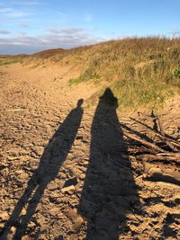 Shadow of person on field