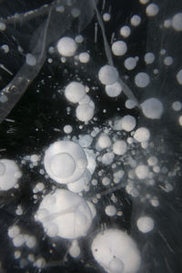 Frozen metano bubbles inside ice