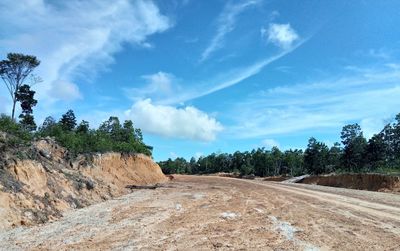 Panoramic view of road amidst trees on field against sky