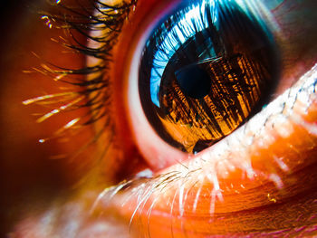 Full frame shot of human eye