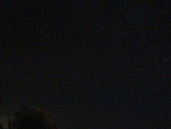 Low angle view of star field against sky at night
