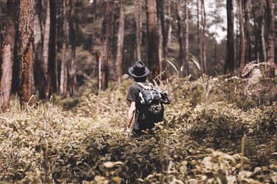 Rear view of hiker standing in forest