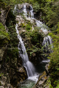 Scenic view of waterfall in forest