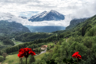 Alpine mountain tops view in bernese oberland region of switzerland.