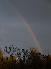 Low angle view of rainbow against sky