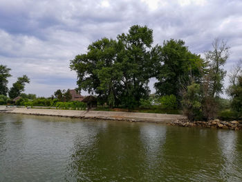 Scenic view of river amidst trees against sky